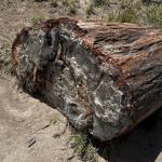 2023OTRA_731 (May 07, 2023)